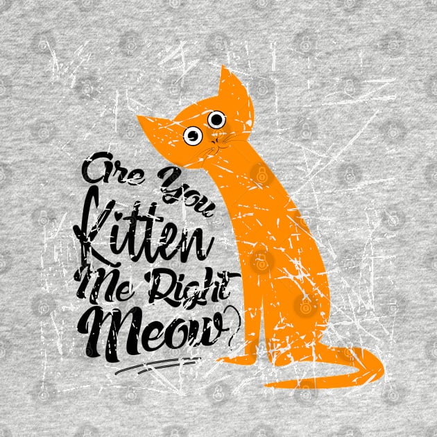 Are You Kitten Me Right Meow Funny Pun by NASSER43DZ